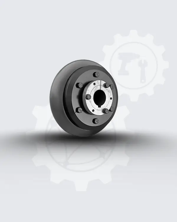 Acople flexible completo SKF