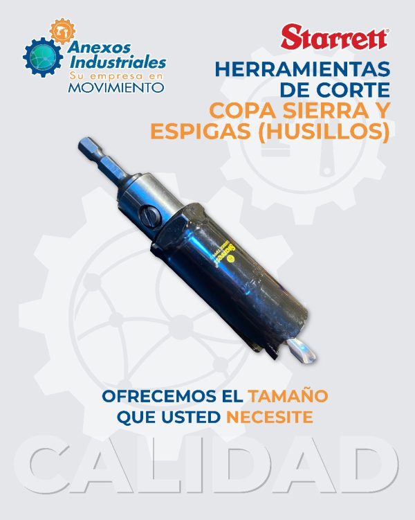 Copa sierra y espiga